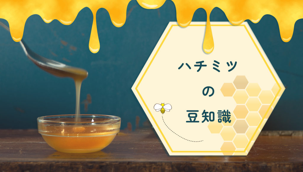 実は知らなかった人も多い？ハチミツの豆知識。 - たかくらとくらす Takakura