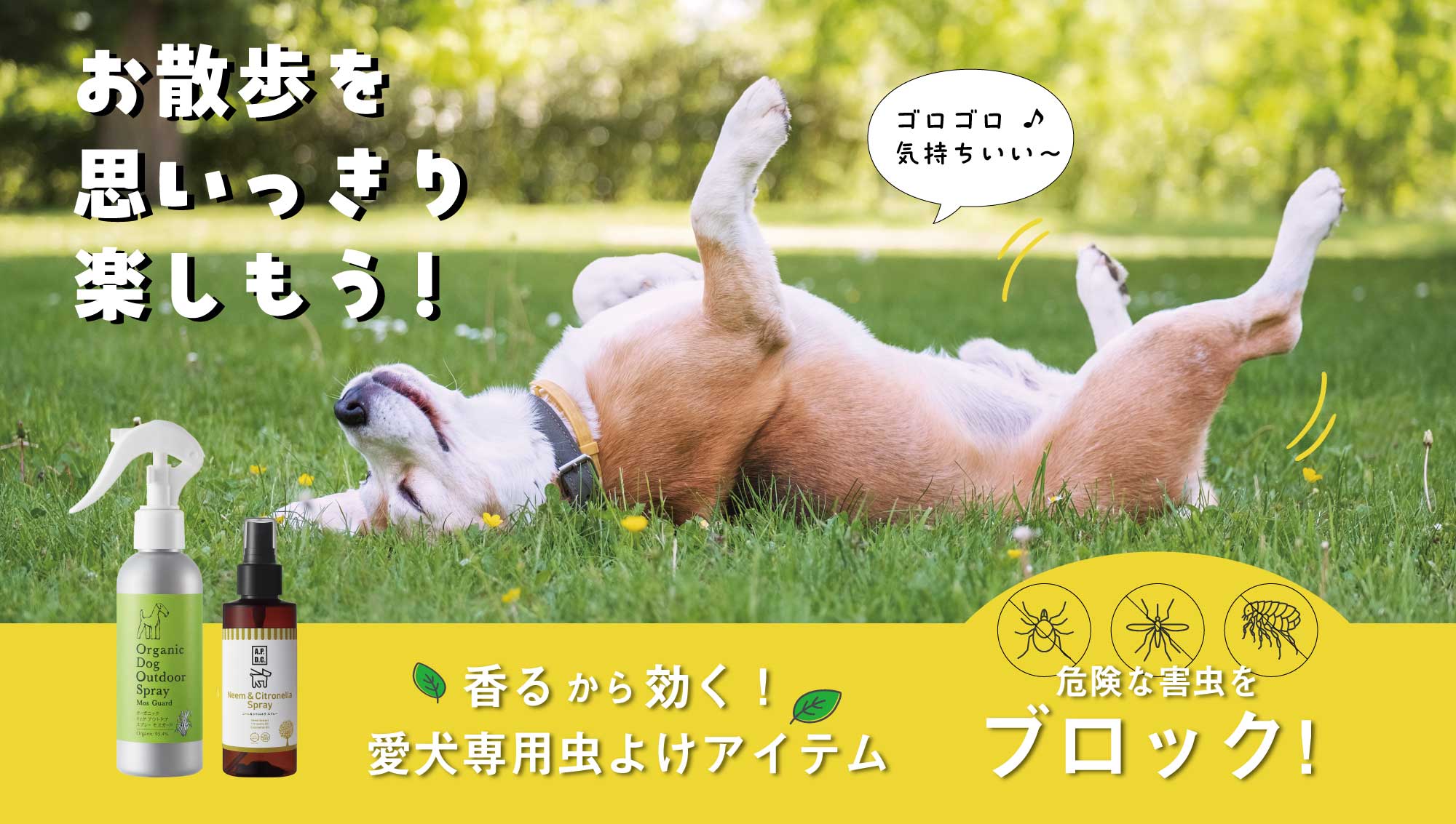 愛犬の「マダニ」「蚊」「ノミ」害虫対策。大切なペットを守るためのおさらい