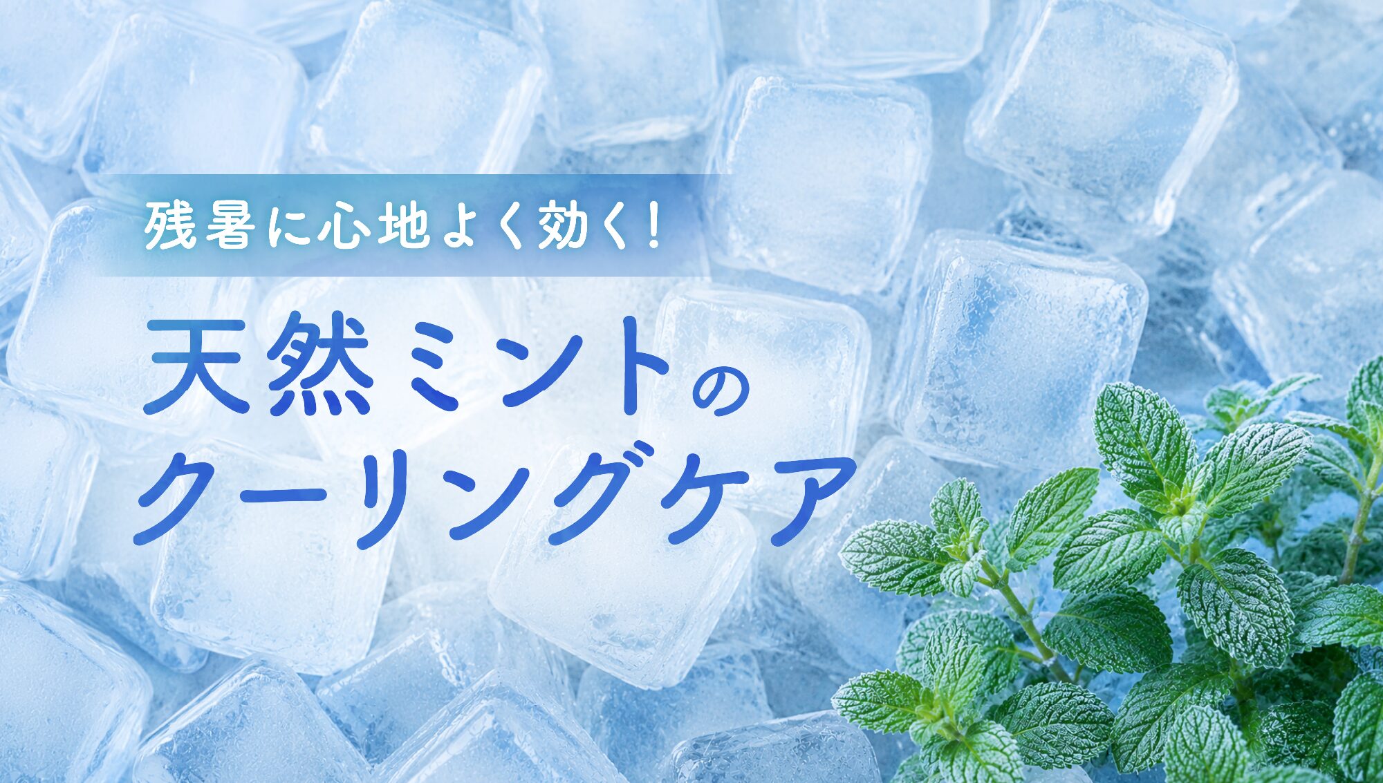 残暑に心地よく効く！天然ミントのクーリングケア