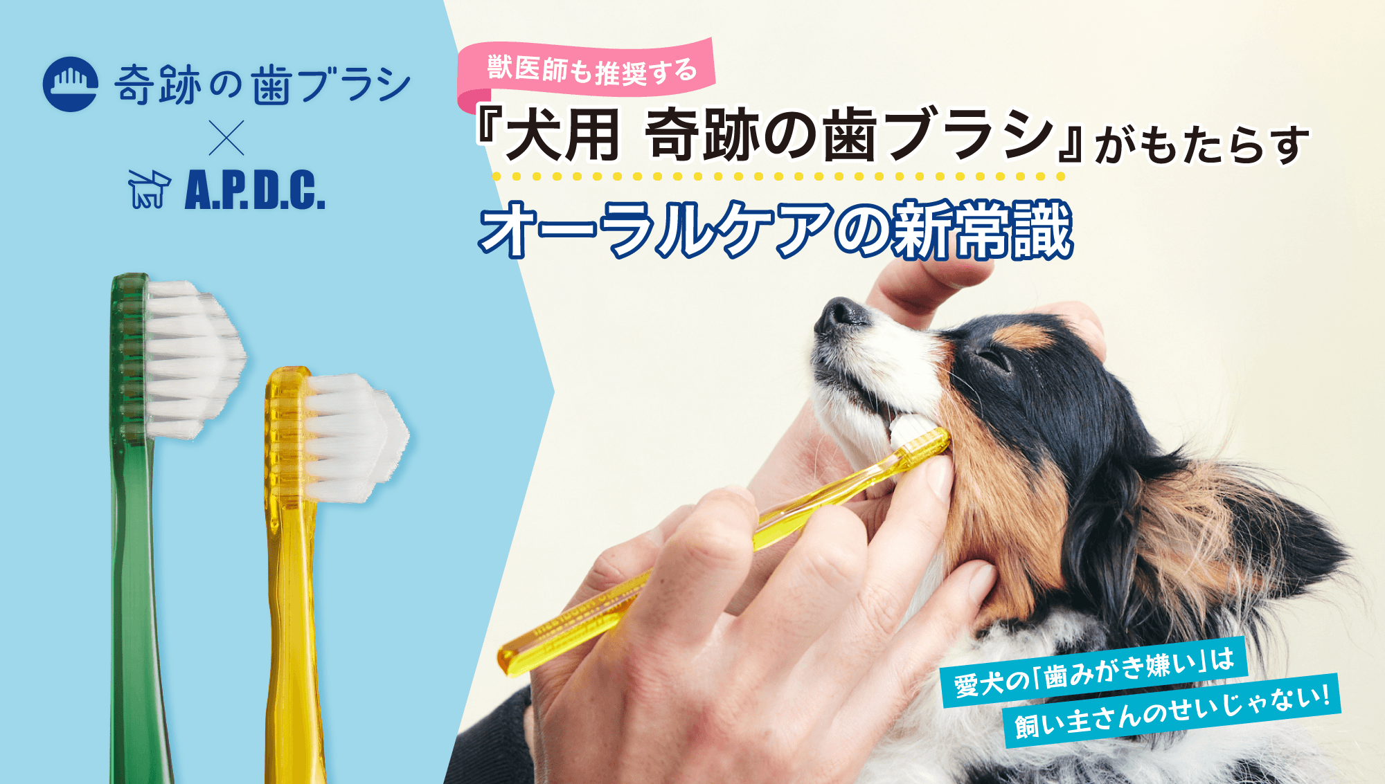 愛犬の「歯みがき嫌い」は飼い主さんのせいじゃない。獣医師も推奨する『犬用 奇跡の歯ブラシ』がもたらすオーラルケアの新常識